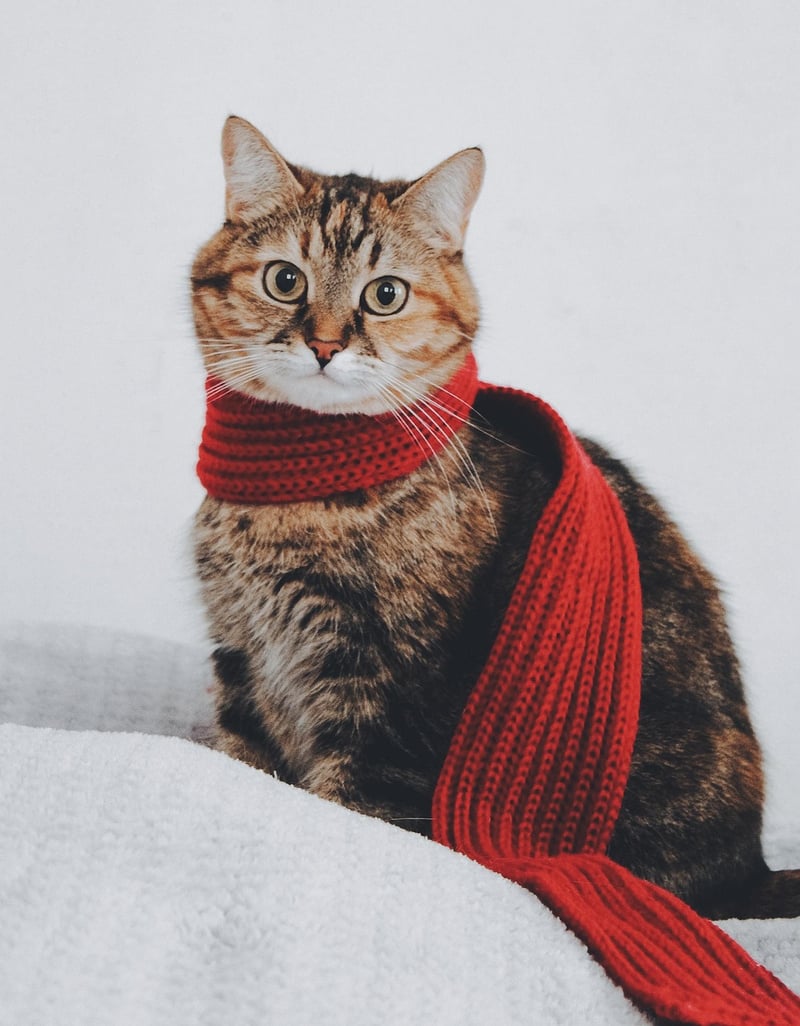 Patchwork Scarf